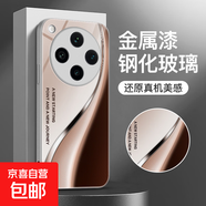 適用oppofindx8/7/6/5手機殼reno13/12/11玻璃硬殼vivoiqoo13/12/neo10/9/x200創(chuàng  )意設計一加保護套 【銀漸變幻標】彩繪玻璃殼 vivoX100Pro/SP