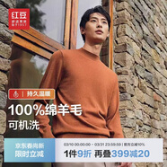 紅豆（Hodo）【可機洗】100%羊毛衫男秋季新品重磅加厚毛衣男純羊毛