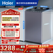 海爾（Haier）云溪2.0雙動(dòng)力全自動(dòng)波輪洗衣機 10KG 免清洗 防纏繞 家電以舊換新京東自營(yíng) MS100-BZ568H