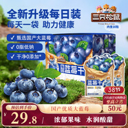 三只松鼠每日藍莓干256g/16包 無(wú)添加水果干果脯小包裝兒童老人辦公室零食