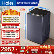 海爾（Haier）云溪3.0 全自動(dòng)波輪洗衣機10KG 雙動(dòng)力免清洗 家電國家補貼以舊換新京東自營(yíng) XQS100-MBDE689
