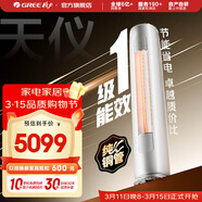 格力（GREE）天儀 新一級能效 變頻冷暖 自清潔 純銅管 客廳圓柱空調立式柜機 家電國家補貼 以舊換新 天儀 新一級能效 2匹