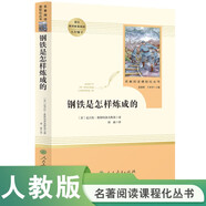 鋼鐵是怎樣煉成的 人教版名著閱讀課程化叢書(shū) 初中語(yǔ)文教科書(shū)配套書(shū)目 八年級(jí)下冊(cè)
