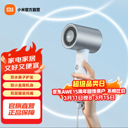 米家小米電吹風(fēng)機H500水離子護發(fā)速干電吹風(fēng)家用便攜款吹風(fēng)磁吸風(fēng)嘴大風(fēng)量智能溫控禮物【節日禮物】 雙水離子便攜款 H500