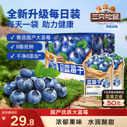 三只松鼠每日藍莓干256g/16包 無(wú)添加水果干果脯小包裝兒童老人辦公室零食