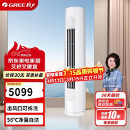 格力（GREE）2匹 天儀 新一級能效 變頻冷暖 凈菌自潔 純銅管立柜式空調柜機 KFR-50LW/(50504)FNhAa-B1
