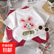 女童短袖長(cháng)褲套裝夏季男童純棉半袖中小童寶寶T恤褲子兩件套029 玫紅長(cháng)褲套裝 73 CM