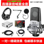 得勝 （TAKSTAR） SM-18EL電容麥克風(fēng)直播設(shè)備專業(yè)錄音棚唱歌話筒手機(jī)電腦通用外置聲卡套裝 創(chuàng)新7.1A5臺式內(nèi)置聲卡套裝/直播錄音K歌