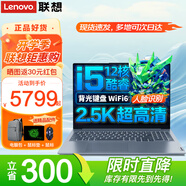 ThinkPad聯(lián)想ThinkBook16 十三代+標壓酷睿i7設計師辦公游戲本 16英寸2.5K屏輕薄手提學(xué)生筆記本電腦 十二核i5-13500H 2.5K超清屏 人臉識別 16G內存 2TB固態(tài) 