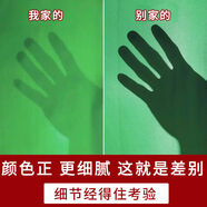 MPPMCK專(zhuān)業(yè)綠幕布間綠幕背景墻便攜折疊綠幕支架 [梭織布料]綠幕6x5米（特厚加密）+送10對無(wú)痕