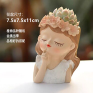 墨一【送貨上門(mén)】多肉植物帶盆組合套裝多肉辦公室綠植花卉三八節(jié)禮物 【仙女花盆】幻想+多肉栽好