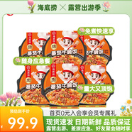 海底撈自熱米飯煲仔飯網(wǎng)紅速食懶人方便米飯早餐夜宵辦公室零食學(xué)生宿舍 【6盒1632g】番茄牛腩飯272G