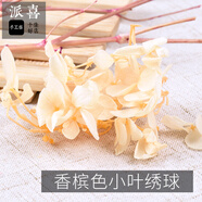 派喜diy手工制作時(shí)光寶石水晶滴膠小葉繡球花永生花飾品干花材料 香檳色