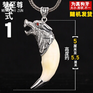 夢(mèng)至尊（MENGZHIZUN） 狼牙吊墜男士925項(xiàng)鏈 真狗牙項(xiàng)墜復(fù)古霸氣牙齒個(gè)性 款式一 配棉繩