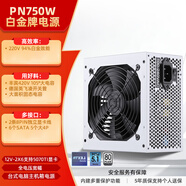 鑫谷（segotep）PN750W ATX3.1白金牌直出冰山版電源（12V-2X6支持5070Ti顯卡/全電壓寬幅/臺式電腦主機箱電源）