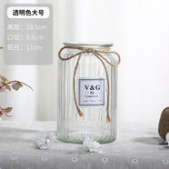 神瓶八玻玻璃花瓶擺件家用玻璃瓶客廳透明創(chuàng)意插花瓶家居歐式小清新水培瓶 18闊口豎條透明