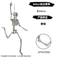 漫翔萬(wàn)圣節(jié)骷髏骨架鬼屋掛飾道具密室逃脫站立發(fā)光骨架整蠱仿真道具 60cm站立骨架