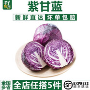 千牛優(yōu)福紫甘藍650g 紫包菜新鮮蔬菜沙拉食材紫色的球生菜西餐紅紫椰菜
