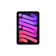 Apple/蘋果 iPad mini (A17 Pro) 8.3英寸 平板電腦(512G WLAN版/mini7/MYH33CH/A)紫色