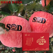 靈寶蘋(píng)果 LINGBAO APPLE靈寶正宗寺河山紅富士蘋(píng)果禮盒裝新鮮天然富硒脆甜爽口(無(wú)標) 90mm-95mm（12個(gè)裝）