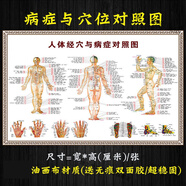 人體十二經(jīng)絡(luò)掛圖十四正經(jīng)穴位圖大掛圖中醫(yī)養(yǎng)生經(jīng)脈走向圖經(jīng)絡(luò)圖 【病癥與穴位對照圖】 70x105厘米【尺寸】  相紙【無膠加厚】