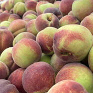 璞煜苑【現摘】正宗山東青州蜜桃 春雪蜜桃脆甜離核秋桃小毛桃桃子凈重 4.5-5斤優(yōu)選