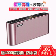 科凌（KELING） Q8無線藍牙音箱雙喇叭重低音炮手機便攜式戶外老人收音機插卡U盤迷你愛度播放器 玫瑰金+16G內(nèi)存卡+讀卡器+海量歌曲+點歌本