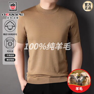 AEMAPE高端精紡100純羊毛打底衫男士半高領(lǐng)短袖t恤男春秋毛衣半袖針織 中卡其 115/XL