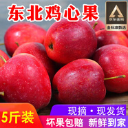 映棠 東北雞心果5斤【順豐快遞—多地次日達】海棠果玫瑰小蘋(píng)果禮盒裝 3斤大果【人工精選】 現摘現發(fā)
