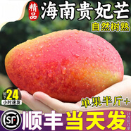 紅玉芒果順豐禮盒 正宗海南貴妃芒新大果10斤整箱紅金玉現(xiàn)摘代購 8斤 順豐禮盒【甄選果王 單果200-300g】 顆顆甄