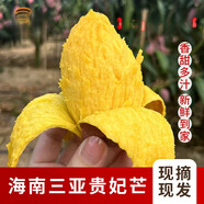 海南三亞樹上熟貴妃芒果紅金龍新鮮應季熱帶水果禮盒裝 7斤小果一口芒禮盒裝 3斤