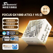 海韻新款ATX3海韻電源FOCUS GX v4/v5 1000 850 750金牌全模全日系電容壓紋線原生12V-2×6支持50系 新品v5 FOCUS GX1000 ATX3.1白