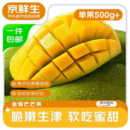 京鮮生國產金煌芒果 凈重4.5斤超大果 單果500g+ 新鮮水果 源頭直發