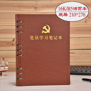 上濟（Sungift）黨員學(xué)習(xí)筆記本文具A5活頁大替芯內(nèi)頁黨委理論教育本工作日志支部會議記錄本定制 黨員學(xué)習(xí)本-B5大本活頁-棕
