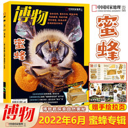 博物雜志2025年7月 微趕海 2023年 2019年（2024年1-12月自選期數(shù)）青少年自然人文百科期刊科普書 博物君式科普雜志 中國國家地理雜志出品 2022年6月第6期 蜜蜂
