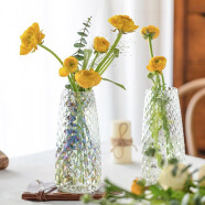 盛世泰堡北欧花瓶摆件透明玻璃插花瓶满天水培容器星客厅装饰 菠萝纹22cm