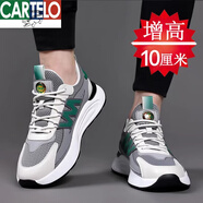 卡帝樂(lè )鱷魚(yú)（CARTELO）內增高男鞋10cm8cm6cm秋季透氣潮休閑鞋防滑耐磨舒適軟底運動(dòng)鞋男 灰色網(wǎng)面增高10cm 39 標準皮鞋碼數