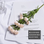 曜灃 ins北歐仿真玫瑰花拍照道具網(wǎng)紅復(fù)古美食美甲攝影拍攝背景擺件飾品假花朵裝飾擺拍 香檳10頭小玫瑰 拍攝道具
