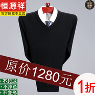 恒源祥100純色羊毛絨衫羊毛衫男半高領(lǐng)秋冬季長(cháng)袖套頭寬松毛衣男打底衫 黑色V  100%不起球不掉色 3XL 185/96A 建議穿175-190斤