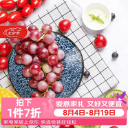 美濃燒 日本進口陶瓷盤子創意餐具日式菜盤碟子家用餃子壽司深盤水果盤 五件套 五個不同花色 8英寸