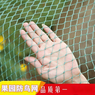 帥米果樹防鳥罩防鳥用網(wǎng)果園尼龍網(wǎng)葡萄網(wǎng)櫻桃網(wǎng)養(yǎng)殖網(wǎng)養(yǎng)雞網(wǎng)養(yǎng)鴨網(wǎng)- （2cm孔）2米寬10米長