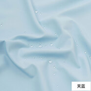 3號(hào)館羽絨服面料布料高檔新款 輕薄防水防污 防跑絨沖鋒衣冬季布料面料 天藍(lán) -半米價(jià)