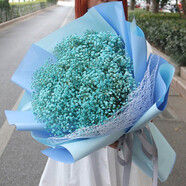 艾斯維娜鮮花速遞滿(mǎn)天星玫瑰花束送女友生日禮物全國同城配送 藍色滿(mǎn)天星款式-高雅款