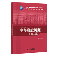 “十三五”普通高等教育本科重點(diǎn)規(guī)劃教材 高電壓與絕緣技術(shù)系列教材 電力系統(tǒng)過電壓（第二版）