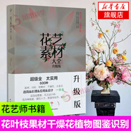 花藝素材大全 升級(jí)版 鮮切花圖書(shū)插花書(shū) 花藝書(shū)籍 插花入門(mén) 鮮切花品種圖冊(cè)花材大全園藝 花葉枝果材干燥花植物圖鑒識(shí)別