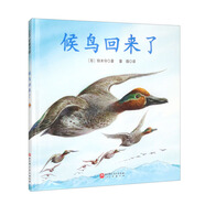 候鳥回來(lái)了（新版）