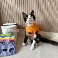 貓容德文卷毛貓衣服無毛寵物背心空調(diào)服高彈薄款貓貓咪春夏天睡衣服 活力橙 L(6-8斤)