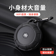 朗琴（ROYQUEEN）T350藍牙音箱無(wú)線(xiàn)迷你便攜式低音炮戶(hù)外小音響防水手機音響插卡戶(hù)外騎行音箱FM收音機 魅惑黑 紀念版 官方標配