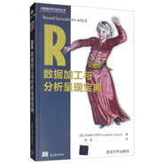 R數據加工與分析呈現寶典/大數據應用與技術(shù)叢書(shū)