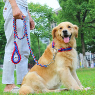 SLPC狗繩金毛狗鏈子中大型犬p繩項(xiàng)圈遛狗繩哈士奇邊牧馬犬寵物牽引繩 紅藍(lán) S號適合5到15斤